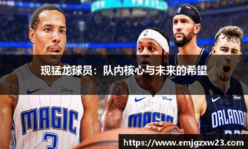现猛龙球员：队内核心与未来的希望